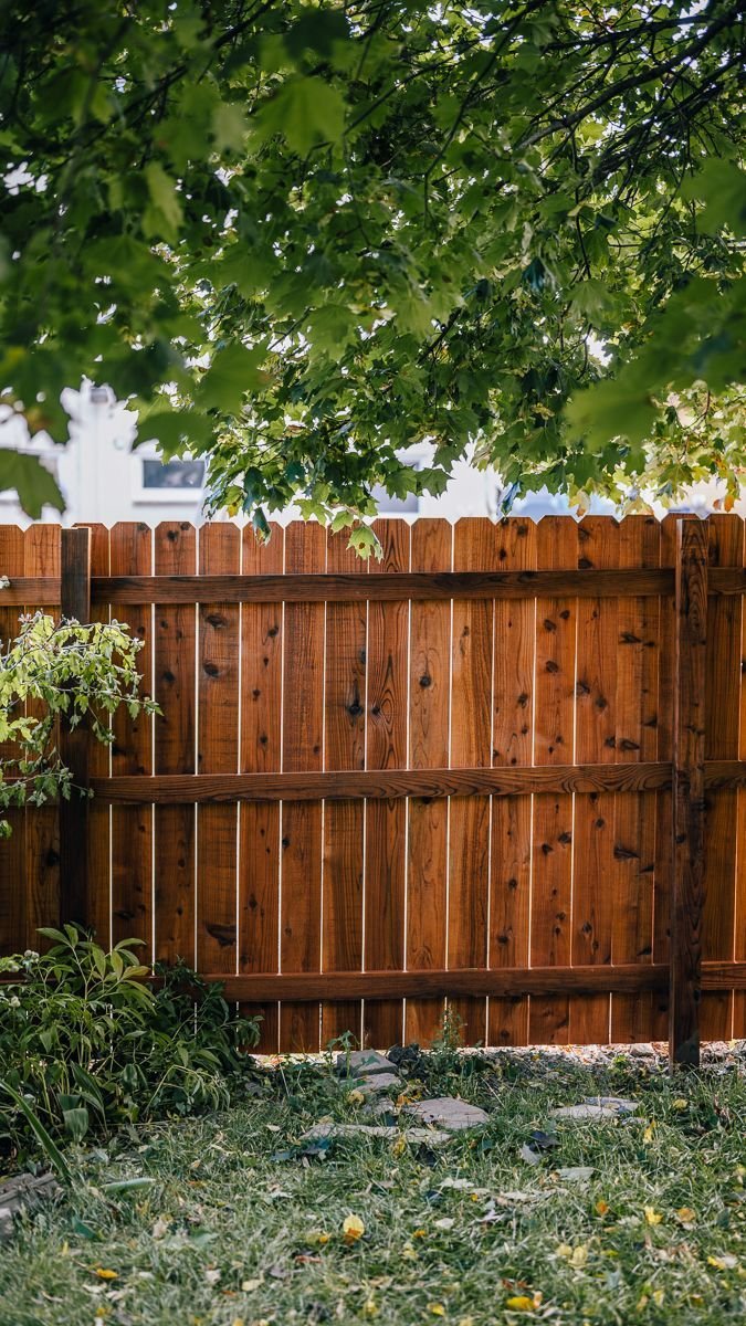 Freshly stained cedar fence under a shade tree