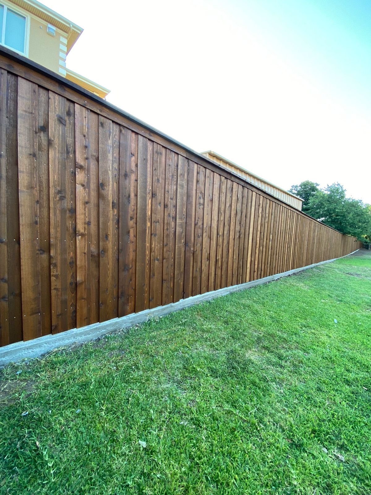 Long cedar privacy fence freshly stained in a Round Rock backyard